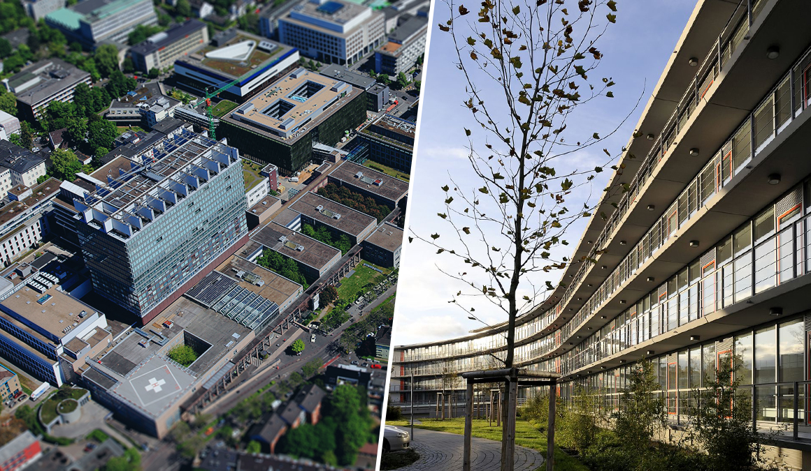 header-zentrum-koeln-bonn